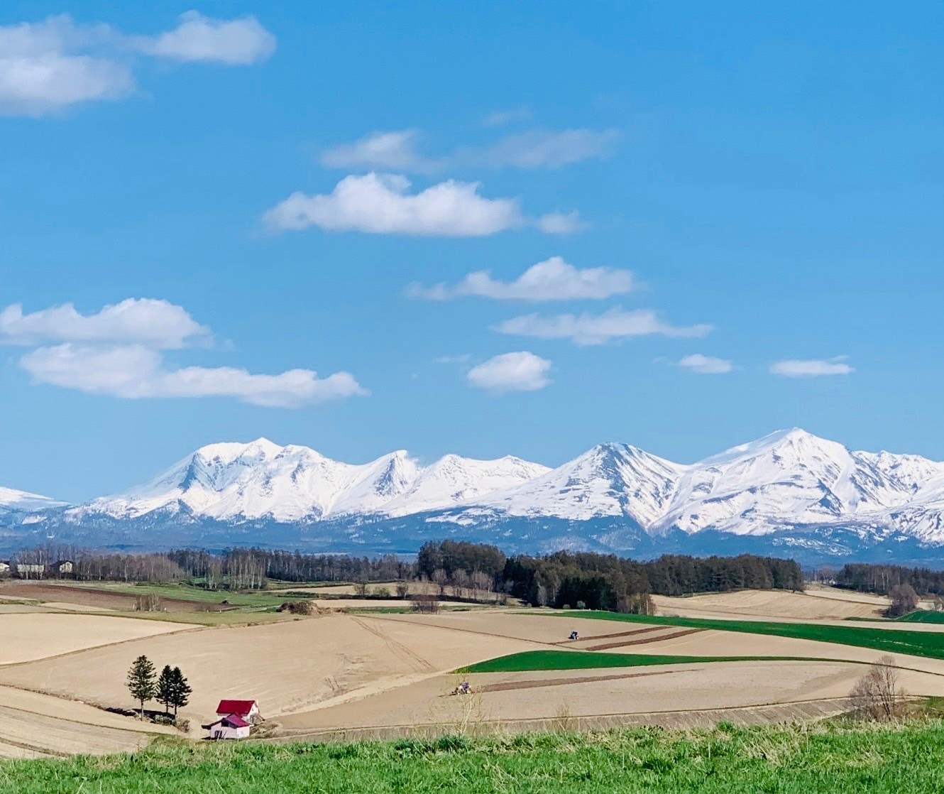新栄の丘からの展望(北海道・美瑛町)