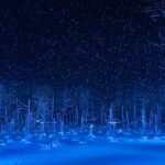 冬の夜の青い池（北海道・美瑛町）