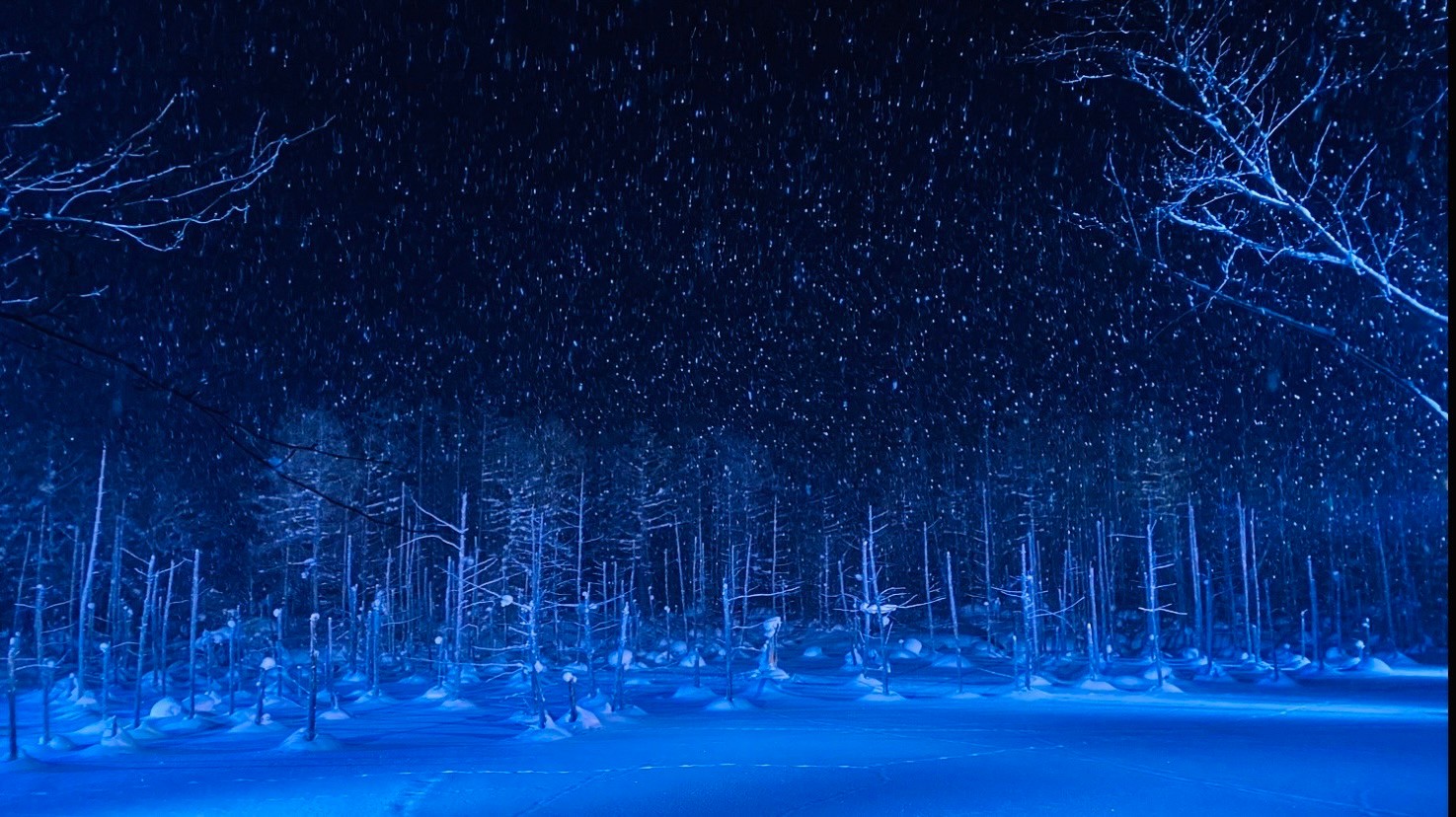 冬の夜の青い池（北海道・美瑛町）